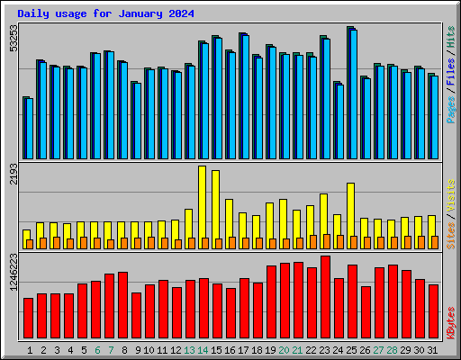 Daily usage for January 2024