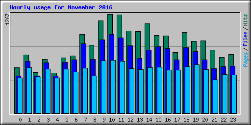 Hourly usage for November 2016