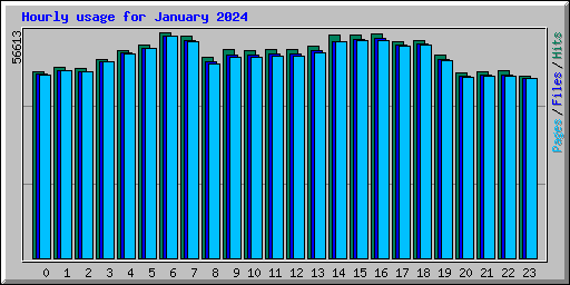 Hourly usage for January 2024